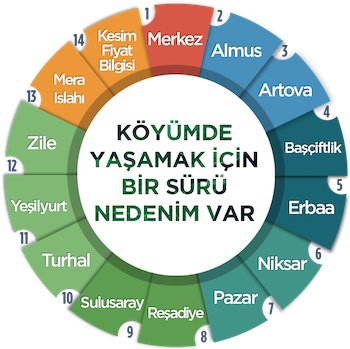 Tokat Koyunculuk