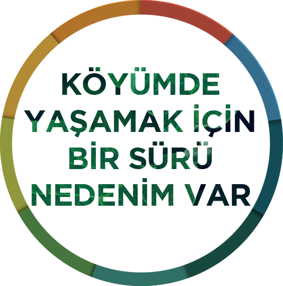 Erzincan Koyunculuk